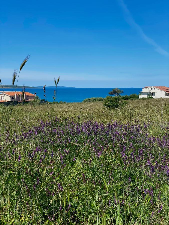 Villa Cvita Povljana Exterior photo